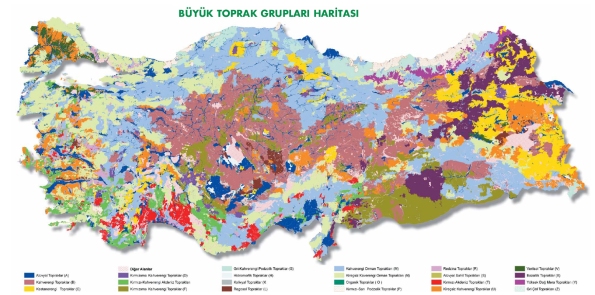 Türkiye Büyük Toprak Grupları Harita Resmi