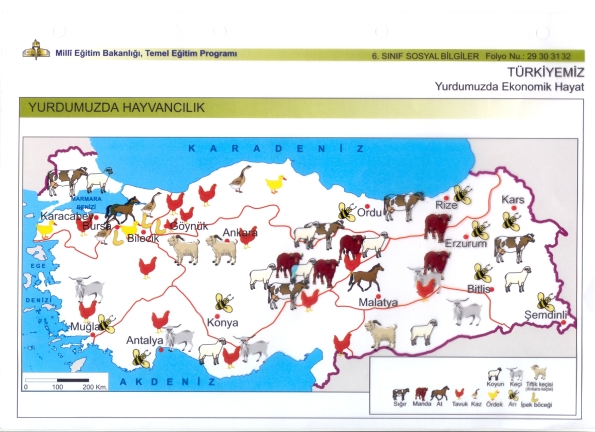 türkiye hayvancılık haritası
