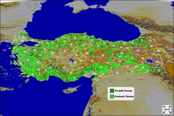 türkiye orman haritası