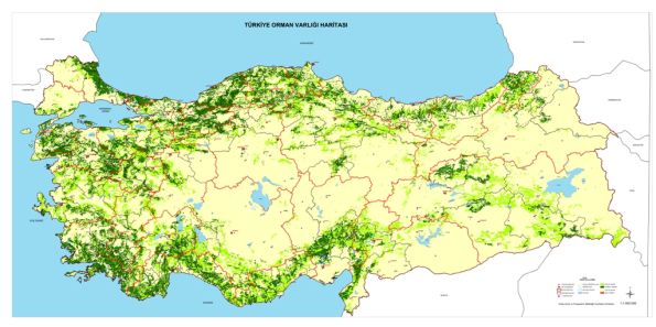 Türkiye orman haritası